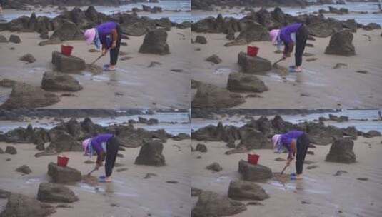 惠安女赶海挖海鲜渔民沙滩海边退潮捕鱼生活高清在线视频素材下载