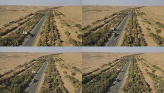 新疆塔克拉玛干沙漠公路和防护林高清在线视频素材下载