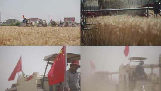 插着国旗的收割机收割小麦高清在线视频素材下载