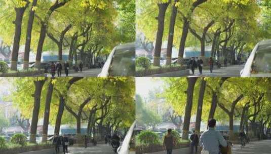 北京秋天秋景秋色道路马路巷子小巷高清在线视频素材下载