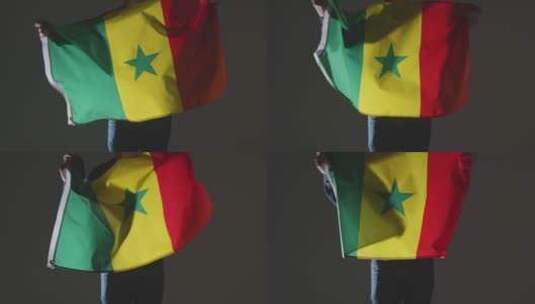 球迷挥舞塞内加尔国旗的特写高清在线视频素材下载