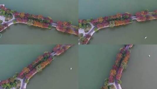 南京玄武湖秋季风光高清在线视频素材下载