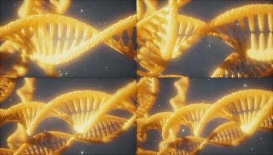 DNA螺旋结构展示科学研究高清在线视频素材下载