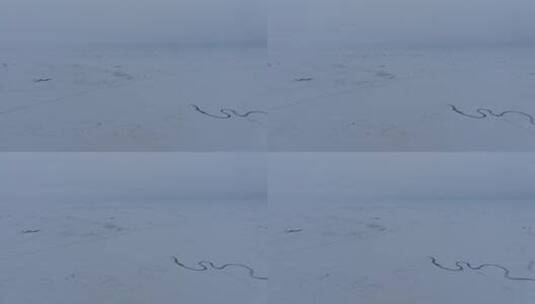 航拍冰雪覆盖的苍茫草原高清在线视频素材下载