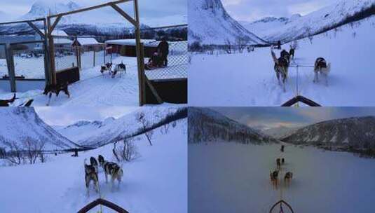 狗拉雪橇冬季雪天户外旅行度假旅游美好生活高清在线视频素材下载