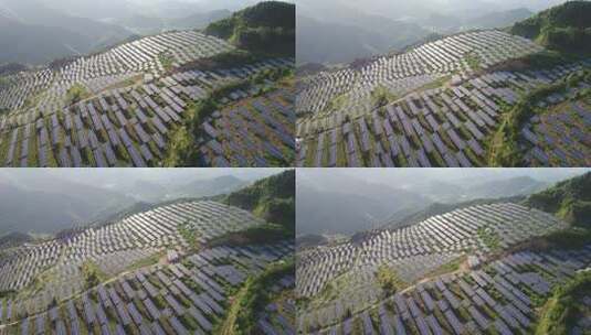 新能源太阳能光伏发电站山坡航拍高清在线视频素材下载