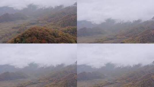 湖北神农架大九湖景区的阴雨秋天高清在线视频素材下载