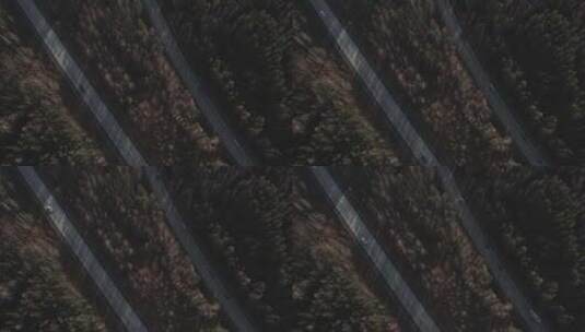 秋季森林之间的多车道高速公路高清在线视频素材下载