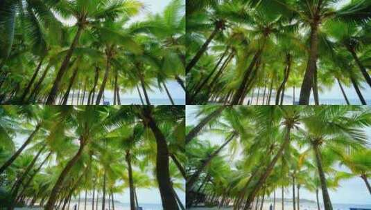 海南三亚 椰树椰林 海边椰子树 海滩度假高清在线视频素材下载