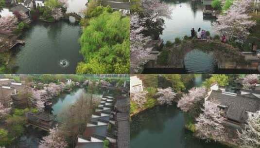 樱花盛开下江南院子多角度展示4K航拍杭州高清在线视频素材下载