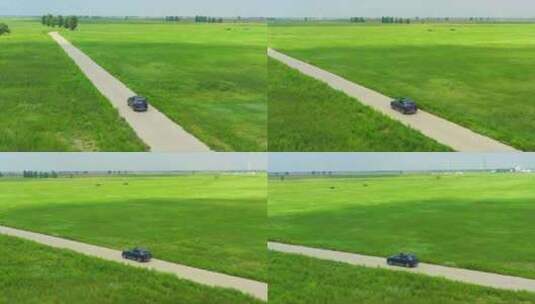 航拍汽车行驶来内蒙古草原公路上高清在线视频素材下载