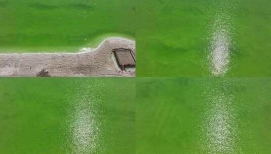 清澈见底波光粼粼的绿色盐湖高清在线视频素材下载