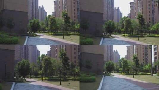 城市绿化高清在线视频素材下载