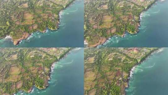 巴厘岛度假村与沙滩航拍高清在线视频素材下载