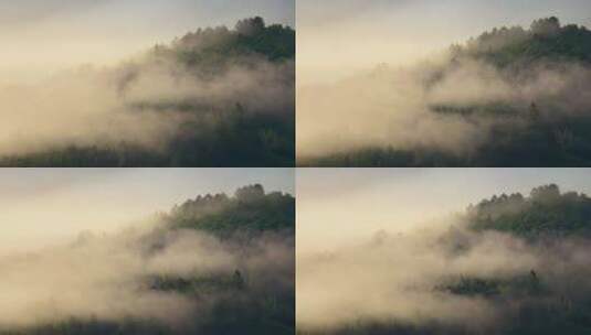 云海森林禅意自然风景高清在线视频素材下载