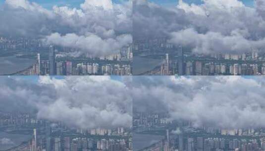 云上的深圳湾超总基地高清在线视频素材下载