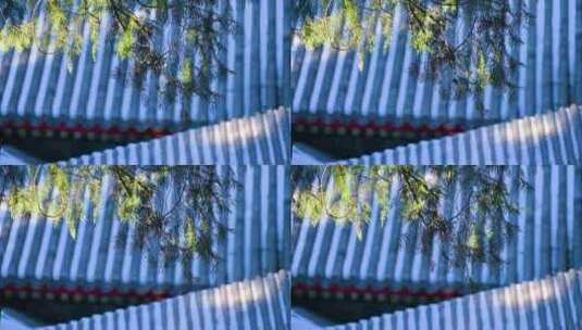 冬季中国古建筑屋顶高清在线视频素材下载