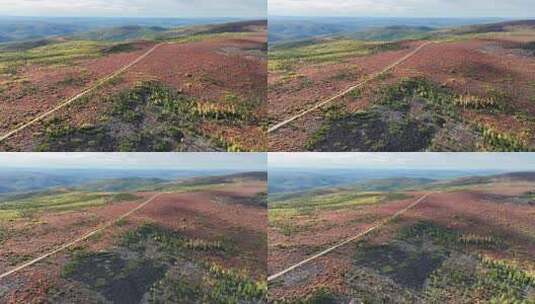 航拍大兴安岭北部原始林长梁北山红树林(30)高清在线视频素材下载