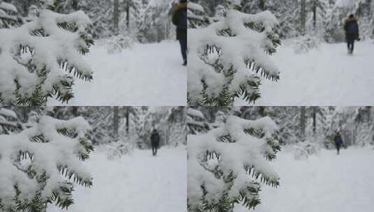 一个女人走过冬季仙境森林中白雪覆盖的树枝高清在线视频素材下载