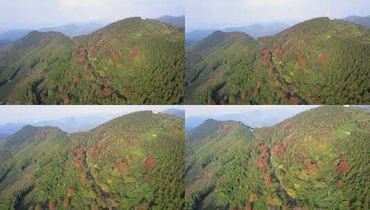 秋天山林风景航拍高清在线视频素材下载