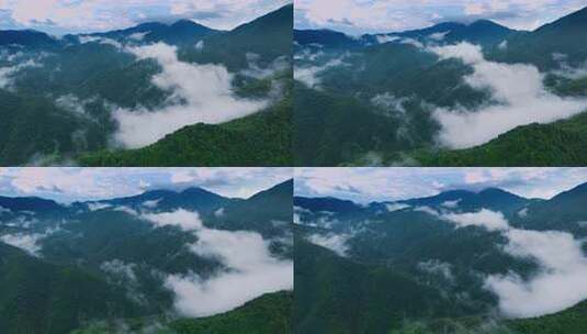 航拍山川云雾森林自然风光大气片头风景视频高清在线视频素材下载