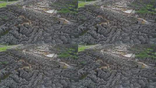 石林地貌游客游览景象高清在线视频素材下载