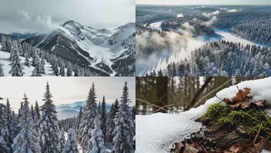 冬天冬至大雪暴风雪冰雪消融高清在线视频素材下载