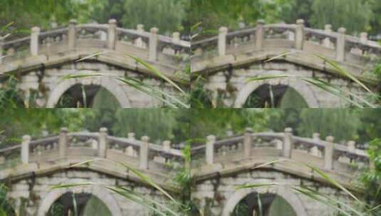 中式园林古莲花池雨景高清在线视频素材下载