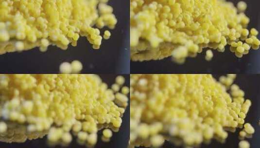 黄米小米粮食粗粮高清在线视频素材下载