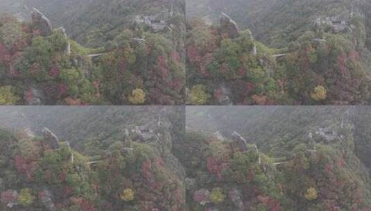 秋季壮美山河红叶高清在线视频素材下载