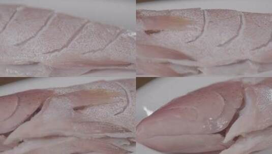 石斑鱼东兴斑2高清在线视频素材下载