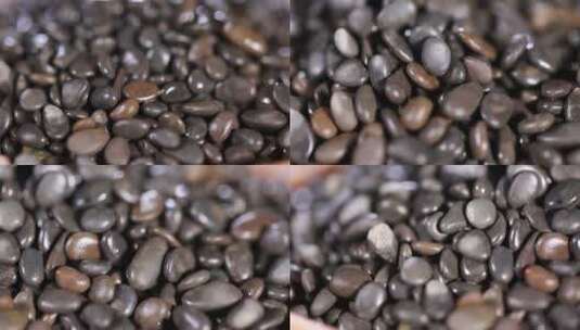 【镜头合集】黑色石子石头籽高清在线视频素材下载