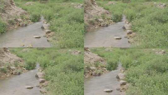 乡村世外桃源小溪溪流自然生态溪边河流高清在线视频素材下载