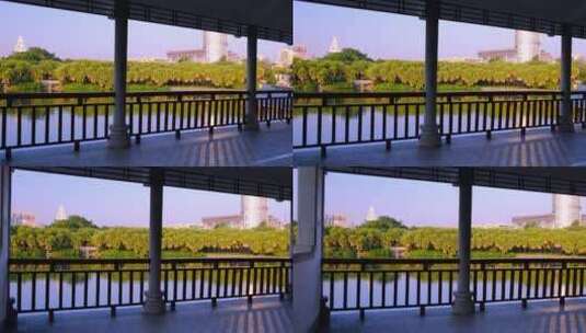 广州流花湖公园湖畔凉亭与城市景观高清在线视频素材下载