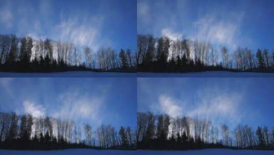 雪景光线透过树林高清在线视频素材下载