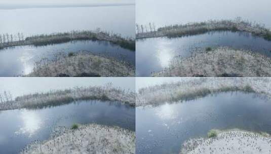 航拍自然美景苏州太湖爱心岛鸟类栖息地高清在线视频素材下载