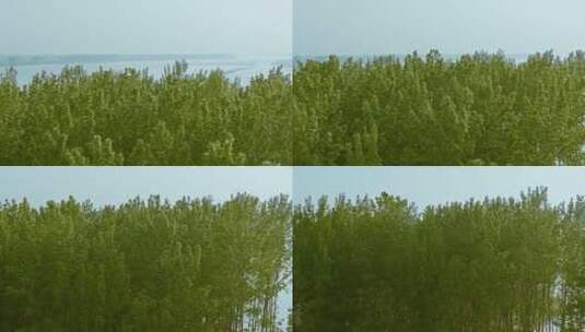 黄河滩涂航拍4k高清在线视频素材下载