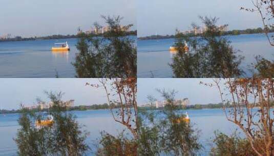 湖面上大白鹅造型的游船高清在线视频素材下载