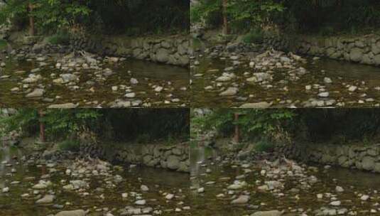 农村河边的鸭子高清在线视频素材下载