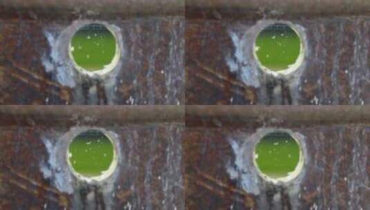水缸圆洞小昆虫水流空镜头高清在线视频素材下载