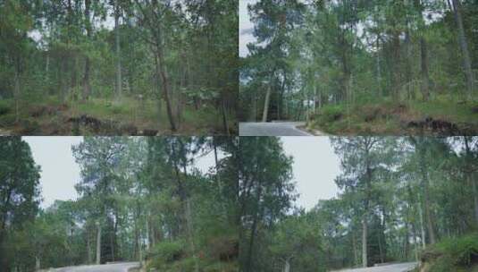 一条被人包围的森林中的小路高清在线视频素材下载