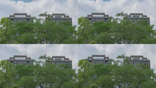 城市建筑绿化植物阴云密布高清在线视频素材下载