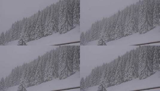 冬天暴雪中的森林树木美景高清在线视频素材下载