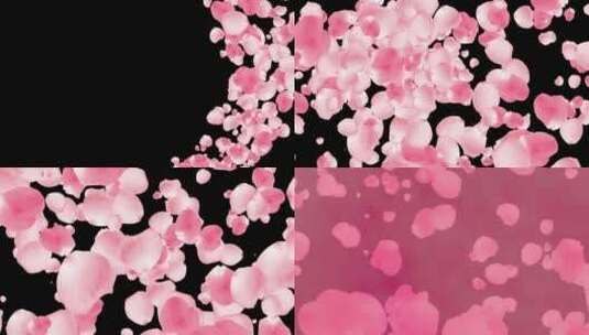 粉色花瓣转场高清在线视频素材下载