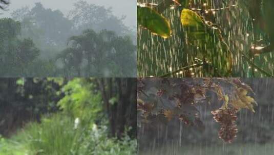 春天下雨唯美清新空镜雨景4k高清在线视频素材下载