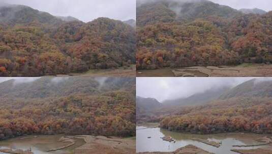 湖北神农架大九湖景区的阴雨秋天高清在线视频素材下载