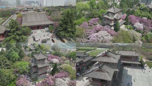 航拍青龙寺遗址樱花花海古建筑景观风光3高清在线视频素材下载