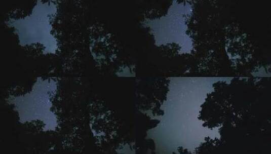 森林夜空银河宇宙延时星云太阳系高清在线视频素材下载