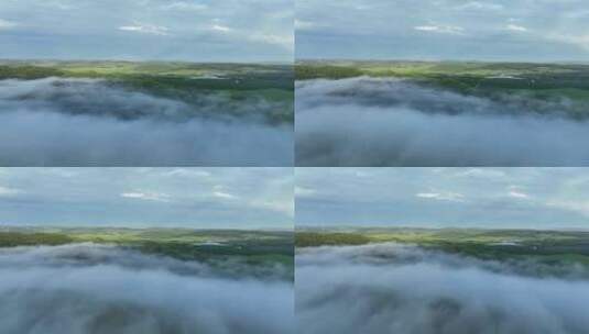 航拍原野森林云雾高清在线视频素材下载