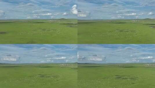 航拍草原牧场羊群高清在线视频素材下载
